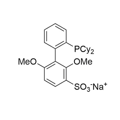 2′-二环己基-2,6-二甲氧基-3-磺酸- 1,1′-联苯水合物钠盐