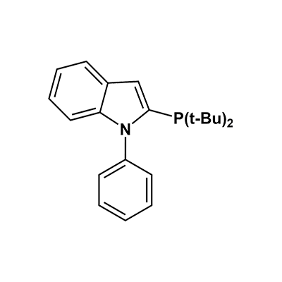 N-苯基-2-(二叔丁基膦基)吲哚