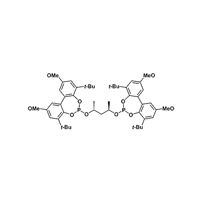 (+)-6,6′-{[(1R,3R)-1,3-二甲基-1,3-丙二醇]双(氧基)}双[4,8-双(叔丁基)-2,10-二甲氧基-双苯并[d,f][1,3,2]二氧磷庚